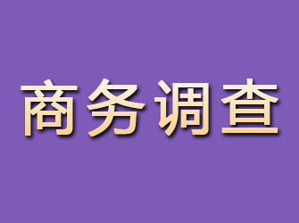 平罗商务调查